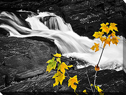Fall River II